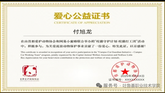 青春赴使命 实干践初心 —— 信息工程学院学子社会实践纪实